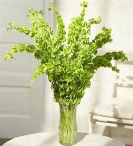 a vase filled with green leaves sitting on top of a white table next to a chair