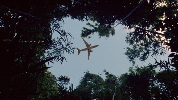 an airplane is flying high in the sky above trees and branches, looking up at it's underside