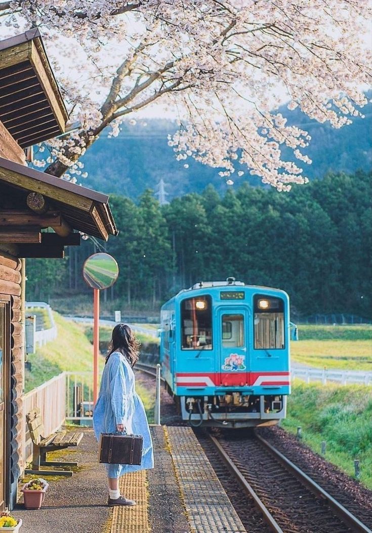 a woman is waiting for the train to arrive at the station with cherry blossoms on the trees