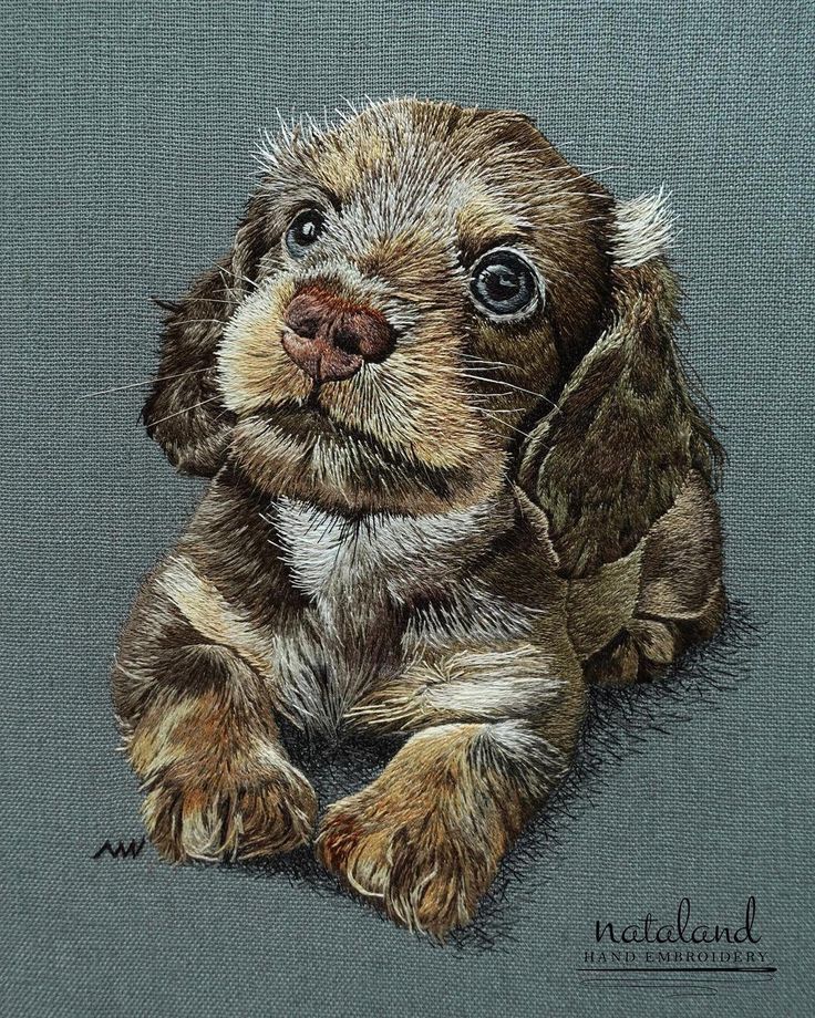 a drawing of a brown and white puppy