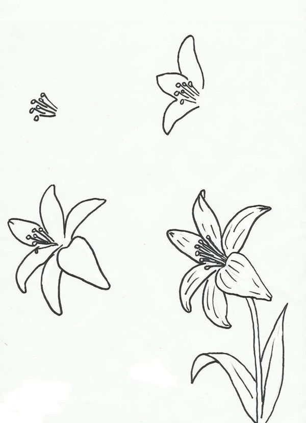 an image of flowers drawn on paper with the words pint written below it and two butterflies flying over them