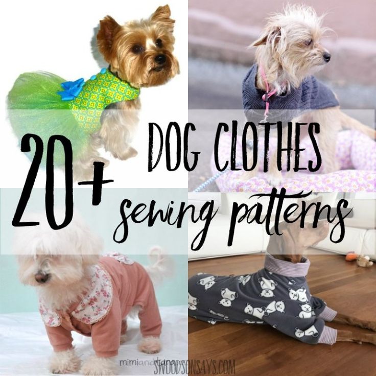 four different dog clothes are shown in this collage with the words, 20 + sewing patterns