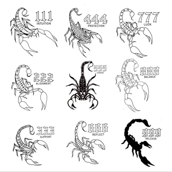 zodiac signs and scorpions are drawn in black ink on a white paper with numbers