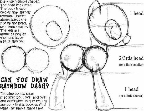 the instructions for how to draw a raccoon dash with pencils and markers