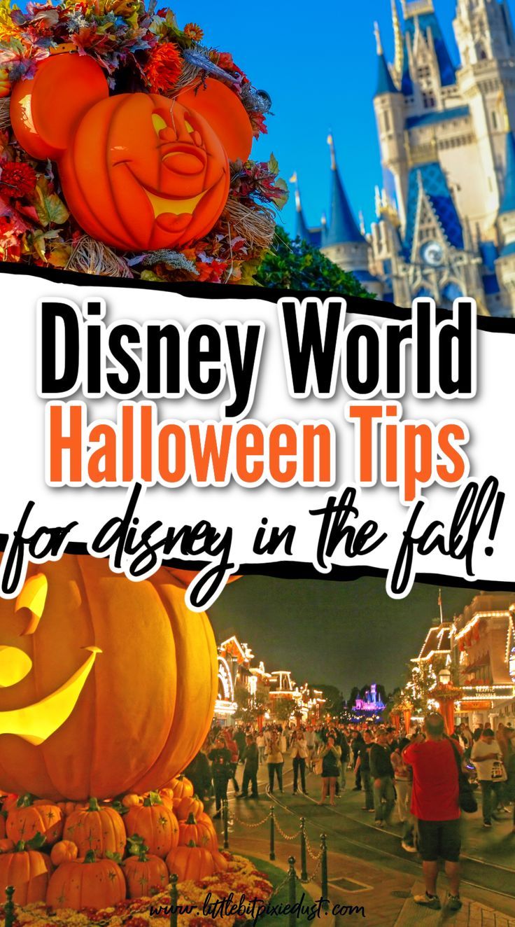 disney world fall guide Disney In The Fall, Disney World Fall, Halloween At Disney, Disneyland Halloween Party, Disney World Souvenirs, Halloween Tips, Disney World Halloween, Themed Halloween Costumes, Halloween And Fall