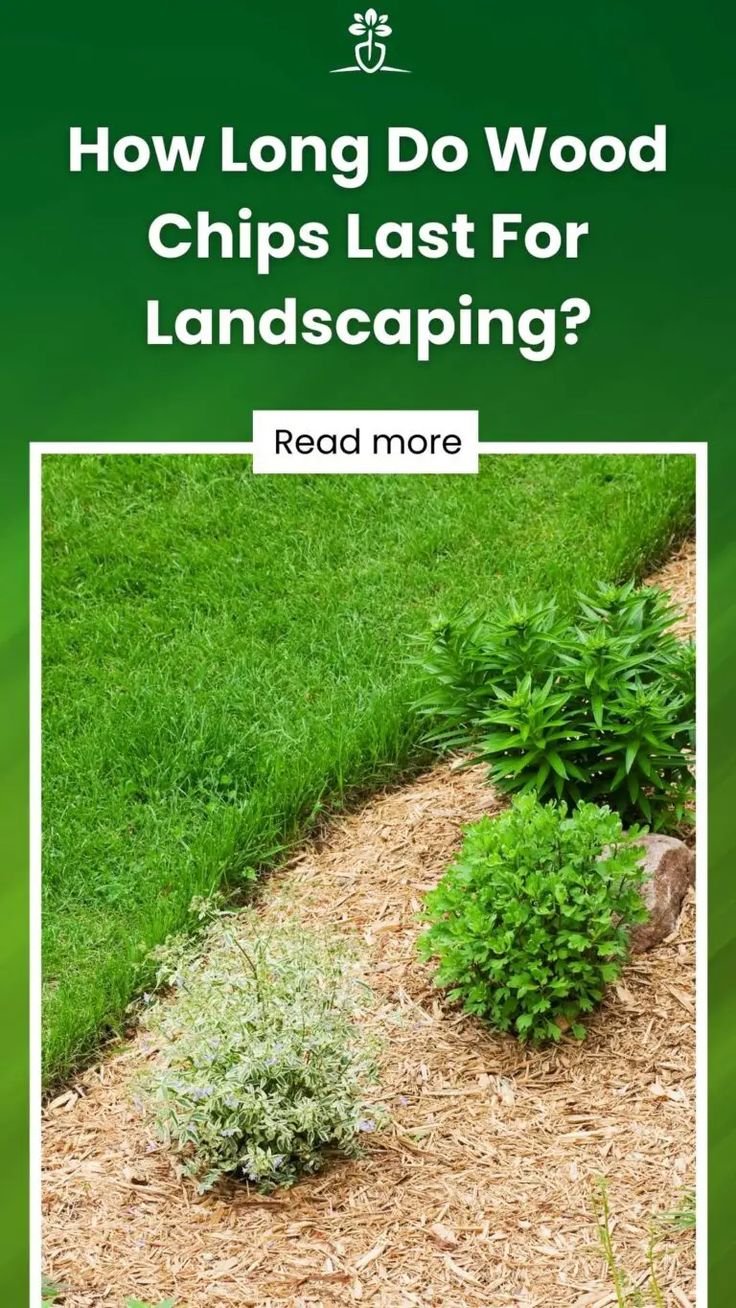 the cover of how long do wood chips last for landscaping?, with an image of a