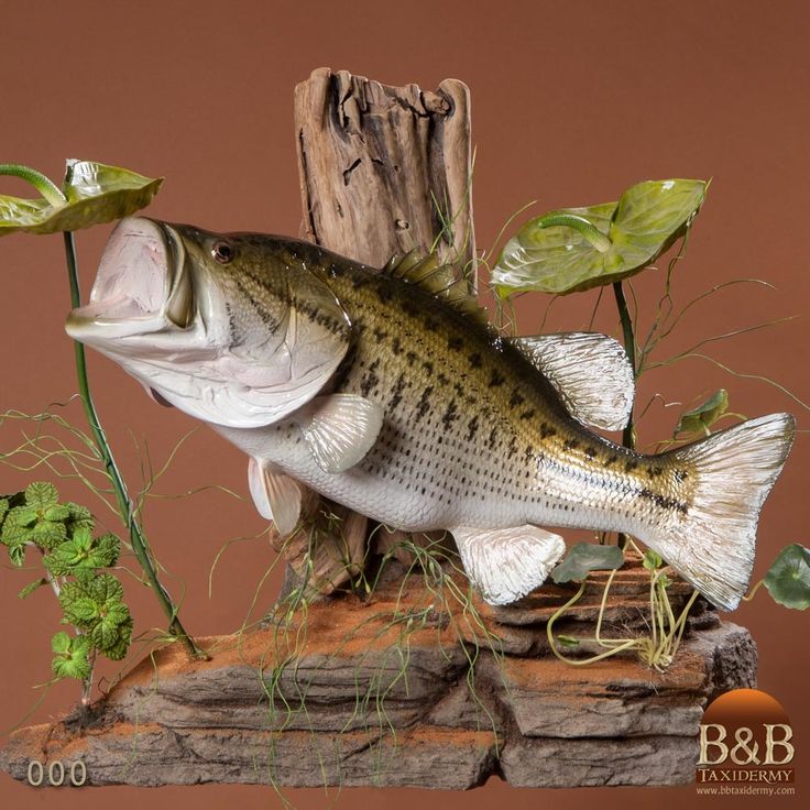 a fake fish is sitting on top of a piece of wood with plants growing out of it