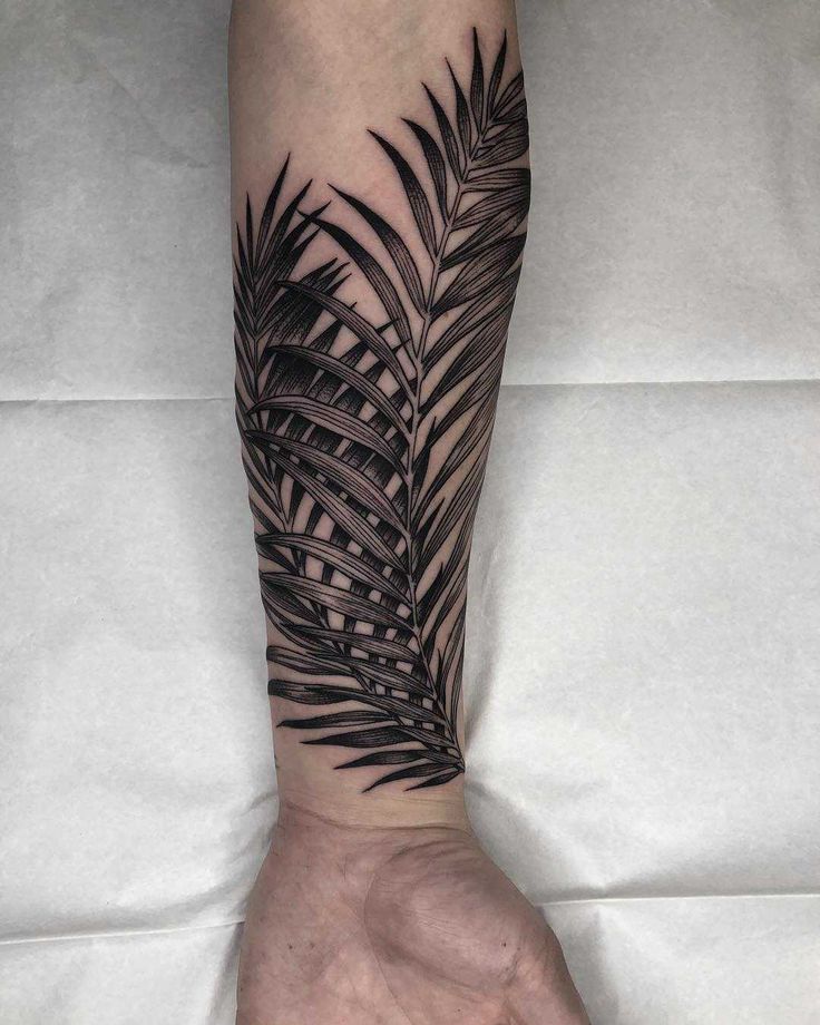 a black and white palm leaf tattoo on the arm