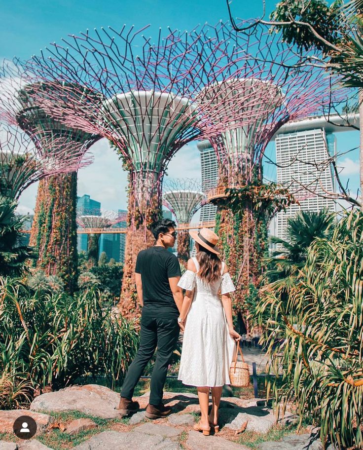 a man and woman standing next to each other in front of trees with purple flowers