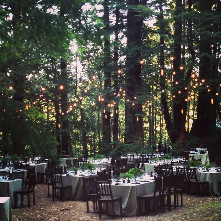 tables and chairs are set up in the woods for an outdoor dinner party with string lights strung from the trees