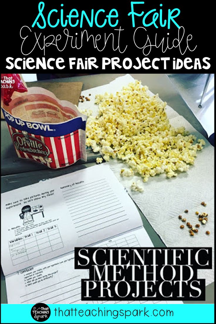 science fair project with popcorn and other items