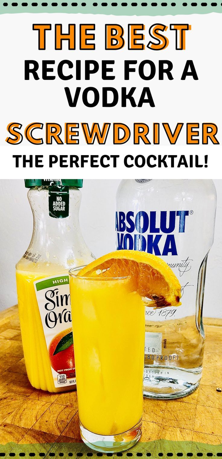 the best recipe for a vodka screwdriver the perfect cocktail