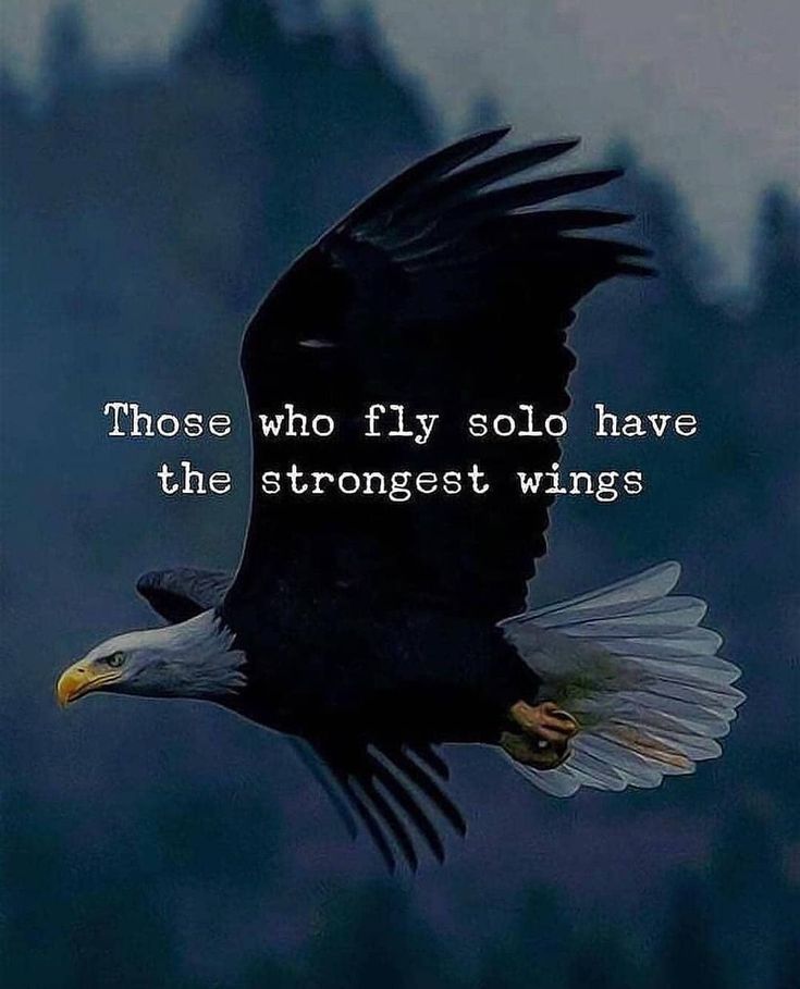 an eagle flying through the air with a quote above it that reads, those who fly solo have the strongest wings