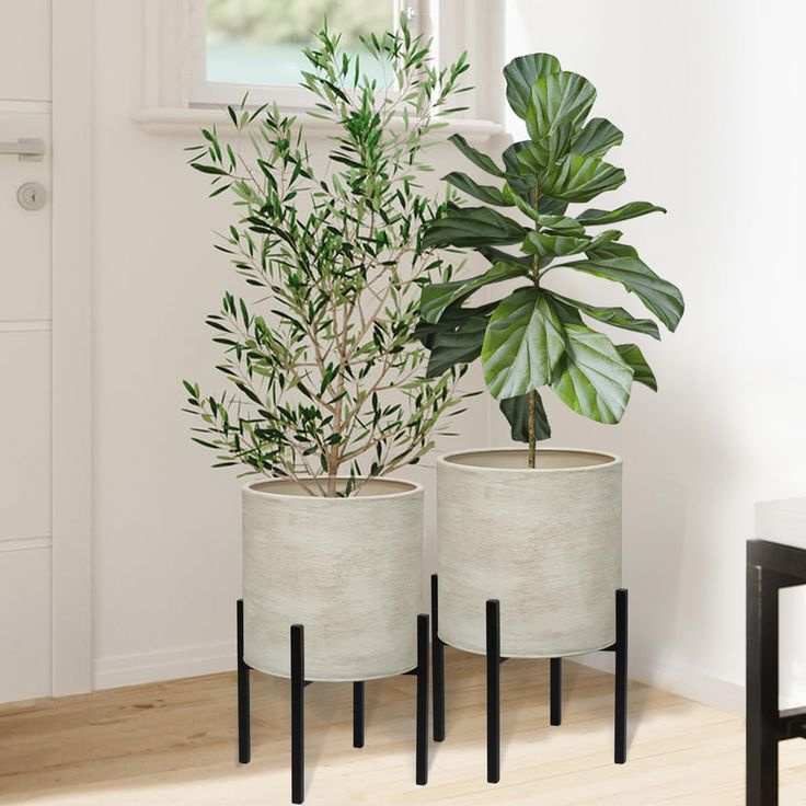 two potted plants sitting next to each other on top of a wooden floor in front of a window