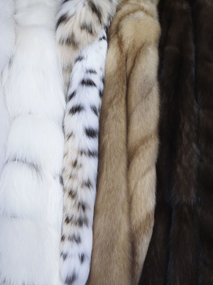 Different Generations, Rebecca Ferguson, Intimate Photos, Cora Reilly, T Magazine, Chronicles Of Narnia, Fur Coats, Old Money Aesthetic, Elizabeth Taylor