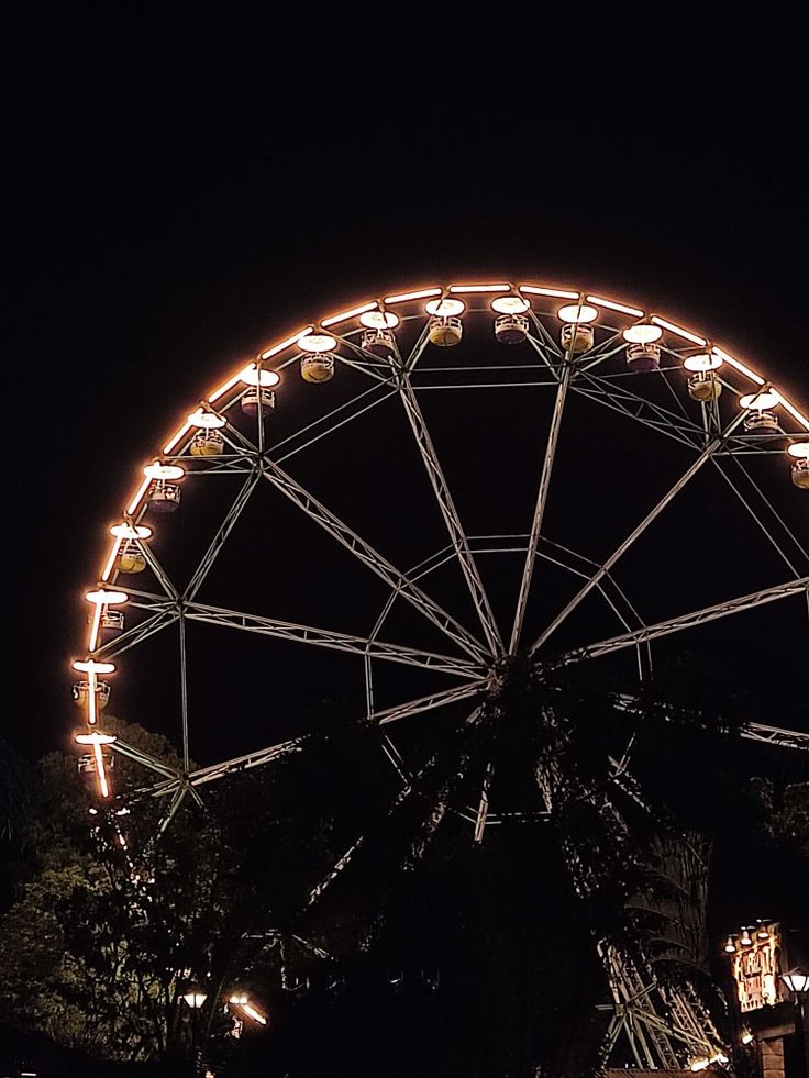 a ferris wheel lit up at night with lights on it's sides and trees in the background