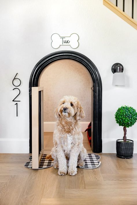 a dog is sitting on the floor in front of an open door with a bone sign above it