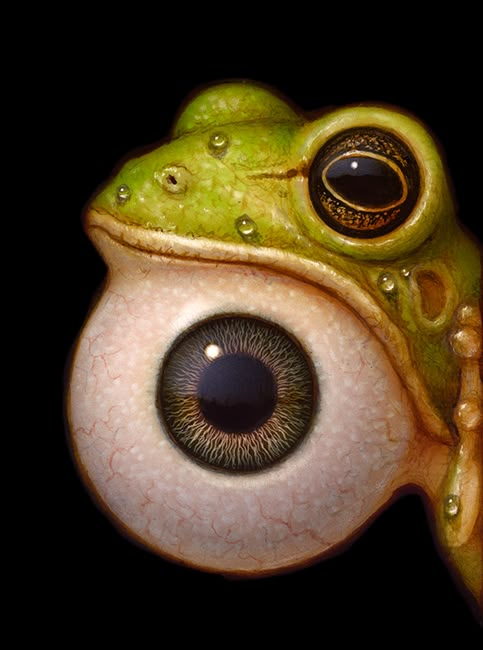 a green frog's eye and nose with water droplets on the outside of it