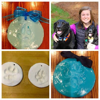 four different pictures with dogs and soaps on them