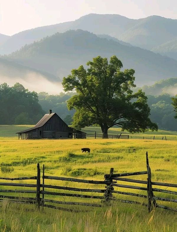 an old barn in the middle of a field with mountains in the backgroud