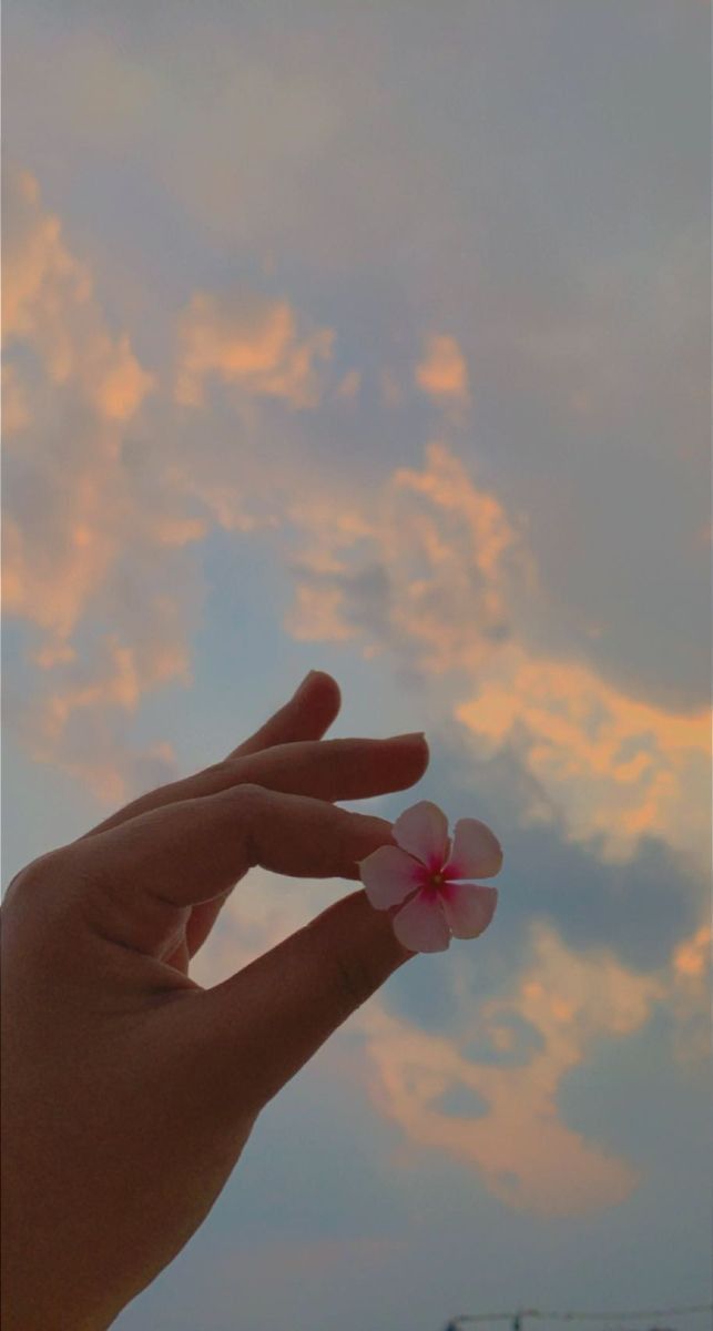 a person's hand holding a flower in front of a cloudy sky