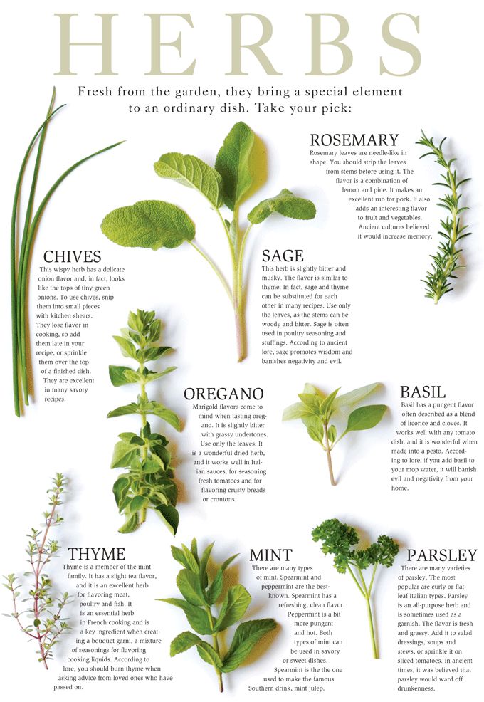 HERBS-CHART.gif (680×986) Herb Kitchen, Herbs For Hair, Healing Herbs, Growing Herbs, Hair Restoration, Medicinal Herbs, Medicinal Plants, Herbal Medicine, Permaculture