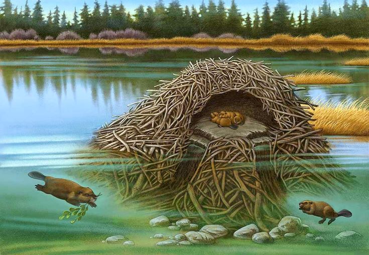 a painting of an animal nest in the water