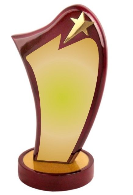 an award trophy with a star on the top is shown in red and gold colors