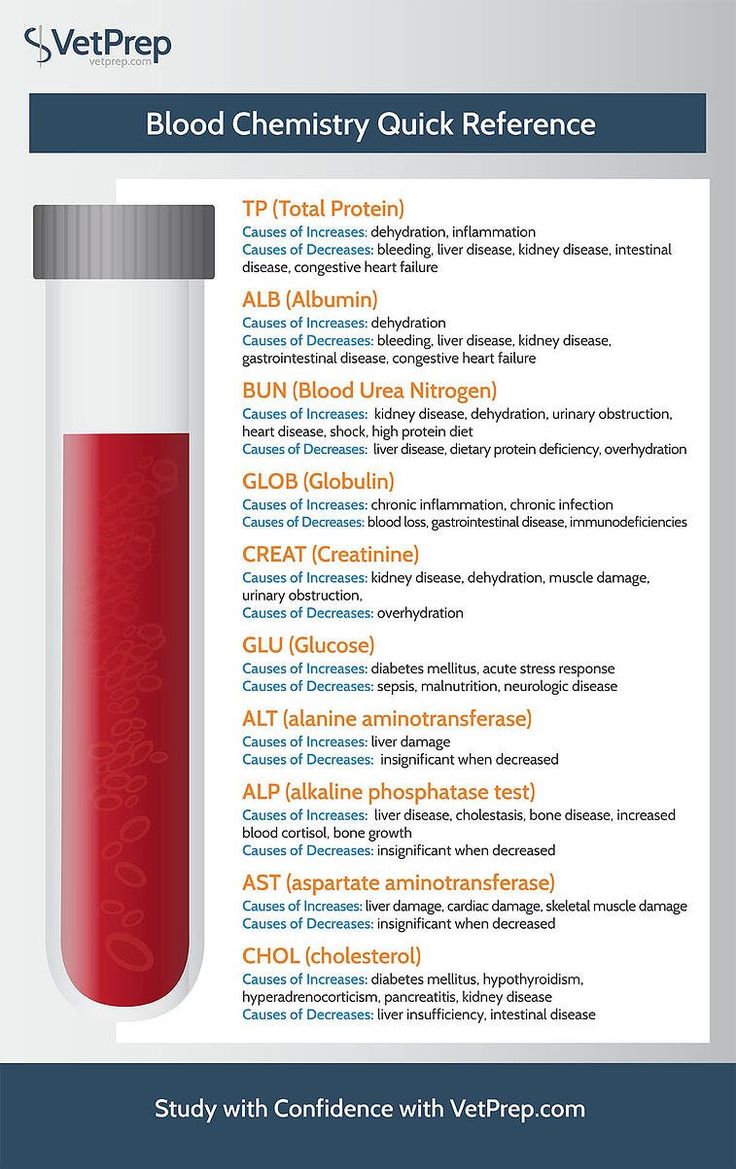 a blood test tube with the words blood chemistry quick reference in red and white text