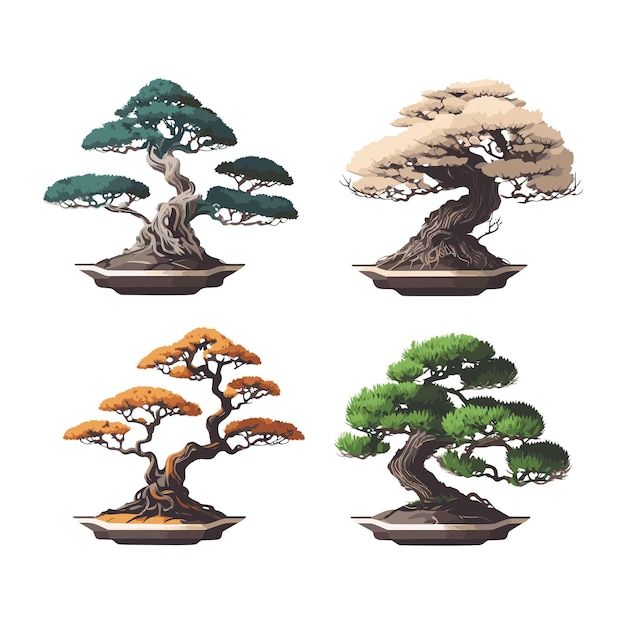 four different types of bonsai trees in pots