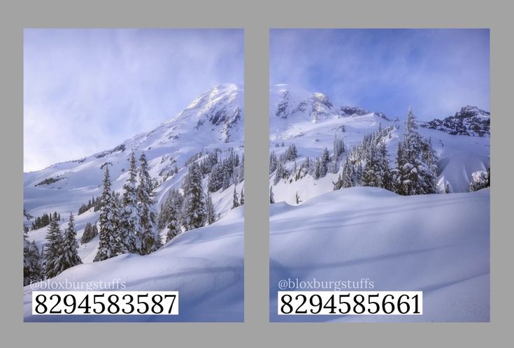 two pictures of snow covered mountains with trees in the foreground and blue sky above