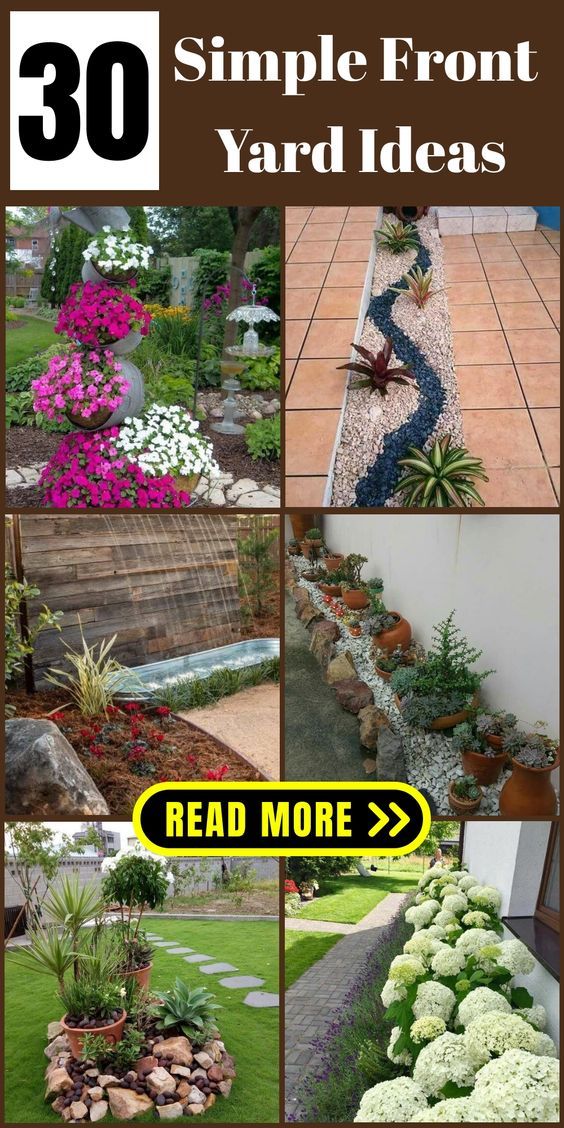 several different types of garden plants with text overlay that reads 30 simple front yard ideas