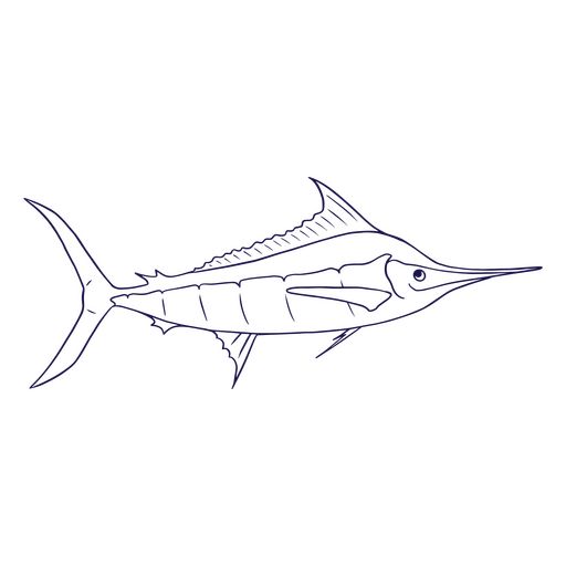 a drawing of a sailfish on a white background