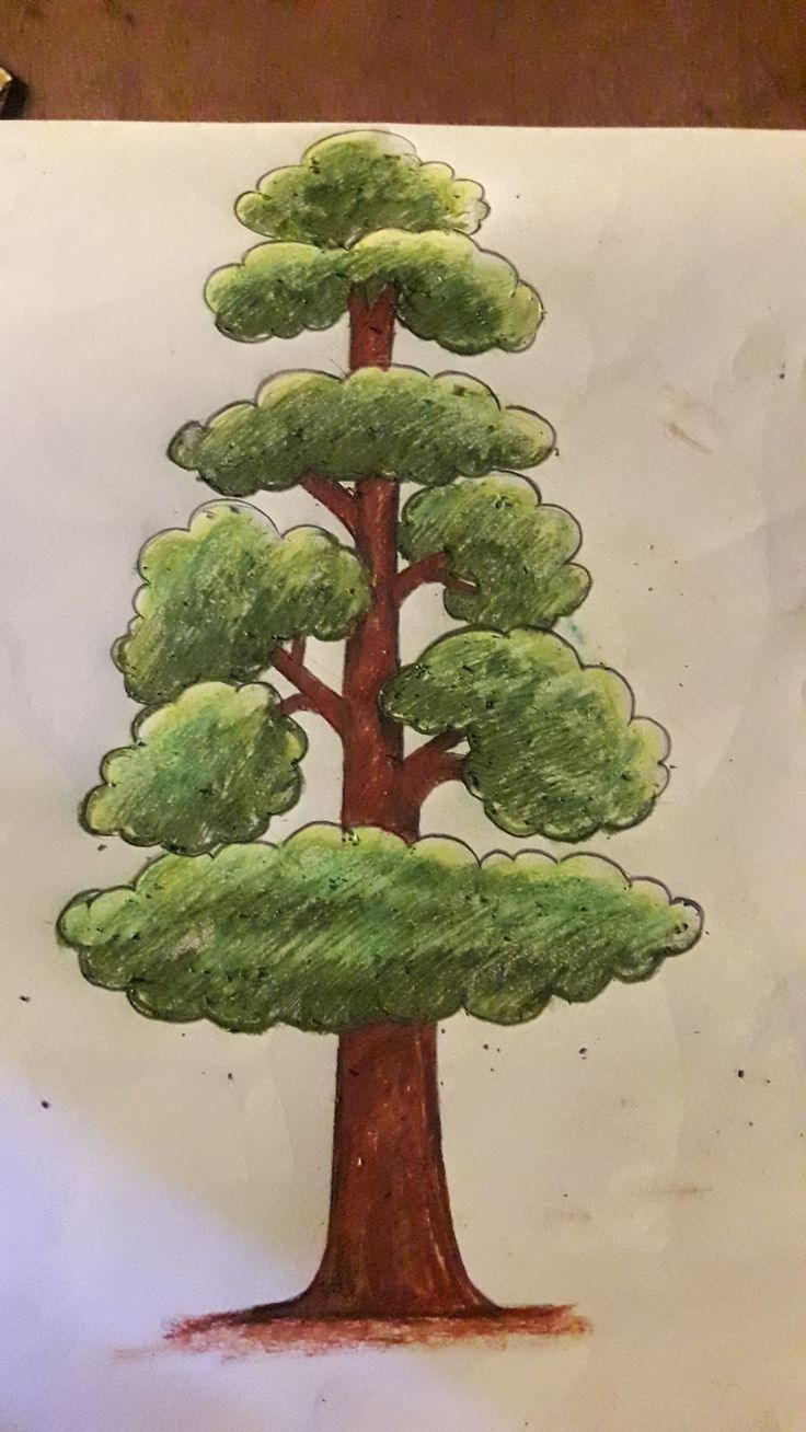 a drawing of a tree on paper with colored pencils and crayon markers