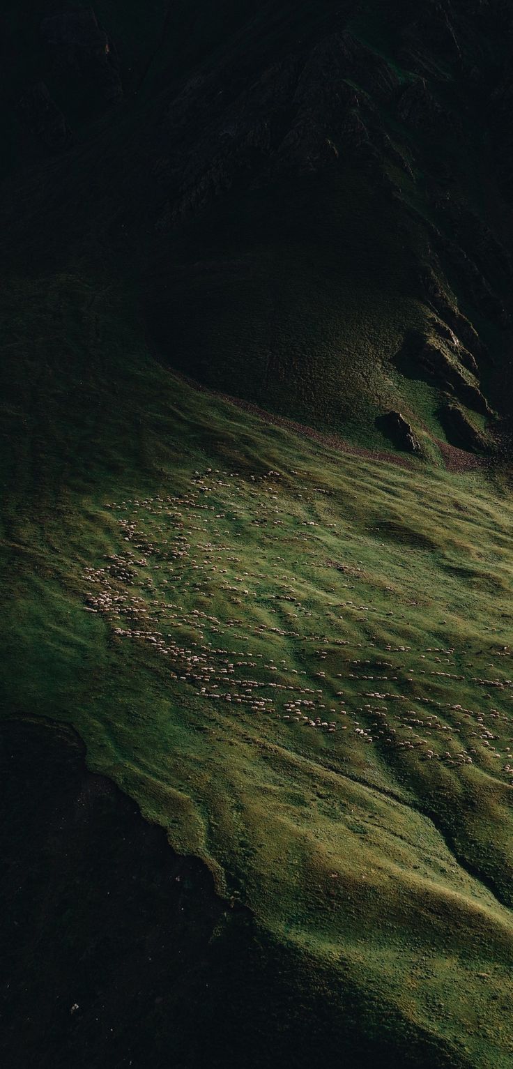 an aerial view of green grass in the mountains