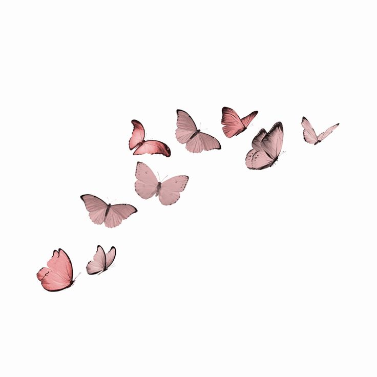 a group of pink butterflies flying in the air