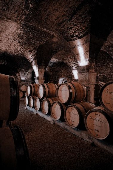 several wooden barrels lined up in an old wine cellar