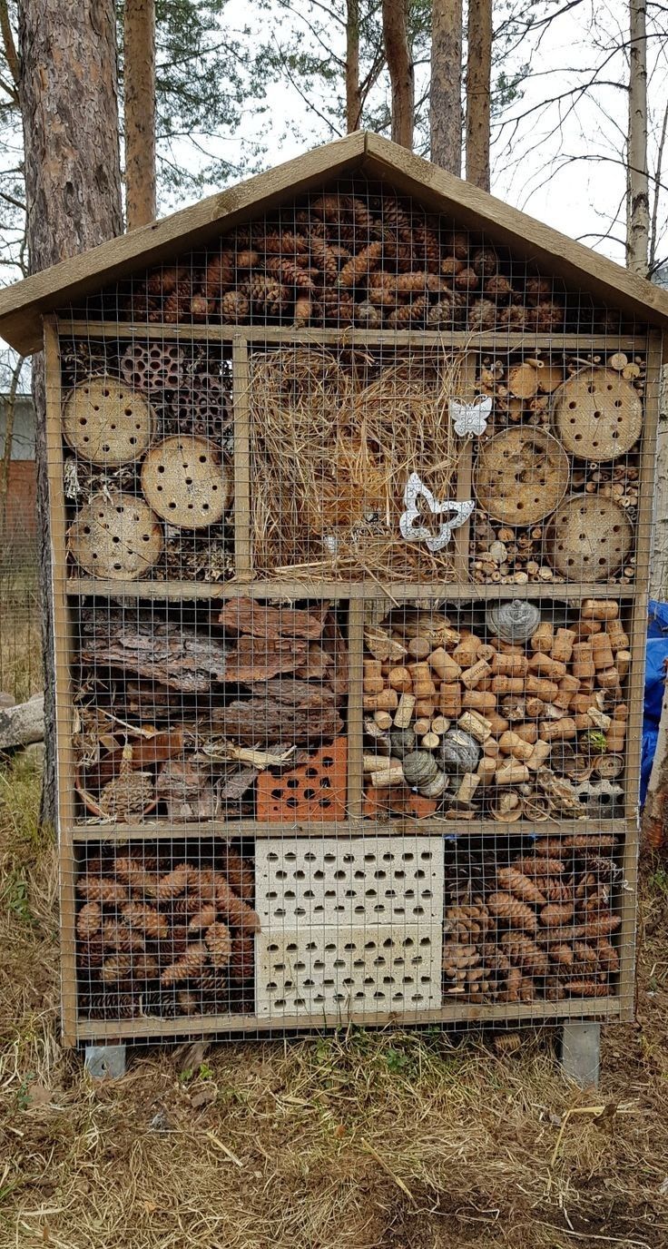 a chicken coop filled with lots of different types of food in the woods next to trees