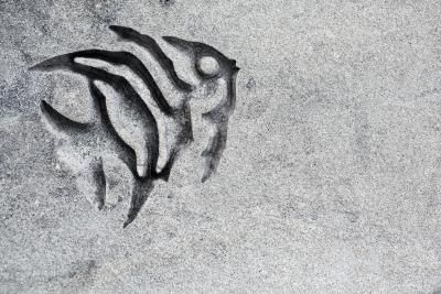 a black and white photo of an animal's head in the sand with its tail curled up