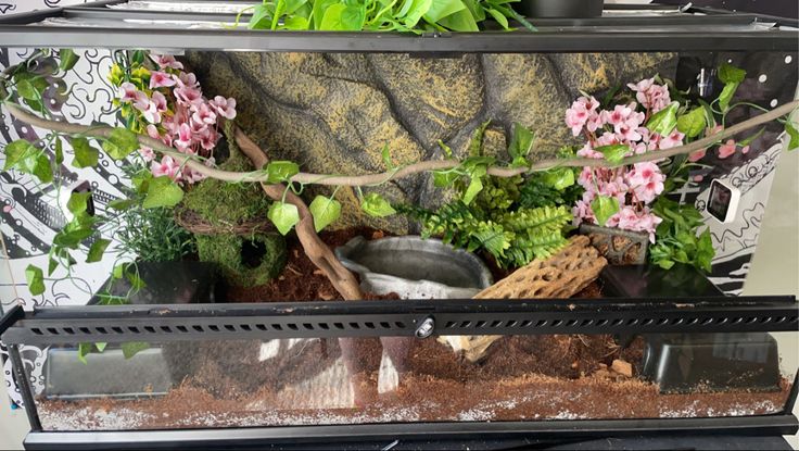 an aquarium filled with plants and dirt on top of a table next to a wall