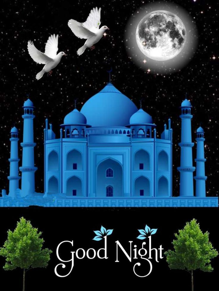 a blue mosque with two white doves flying in front of it and the words good night written below