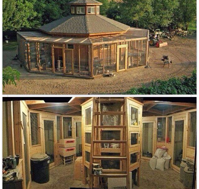 two pictures show the inside and outside of a house with chicken coops in it