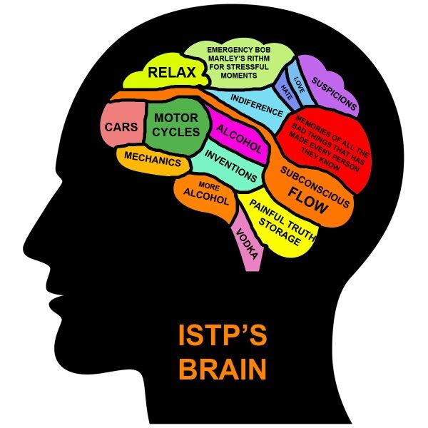 ISTP's brain Istj Personality, Isfj Personality, Istp Personality, Intp Personality Type, Intp Personality, Quotes Arabic, Intj Intp, Myers Briggs Personality Types, Myers–briggs Type Indicator