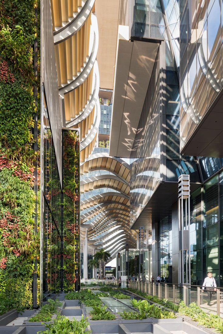 an outdoor walkway with plants growing on it