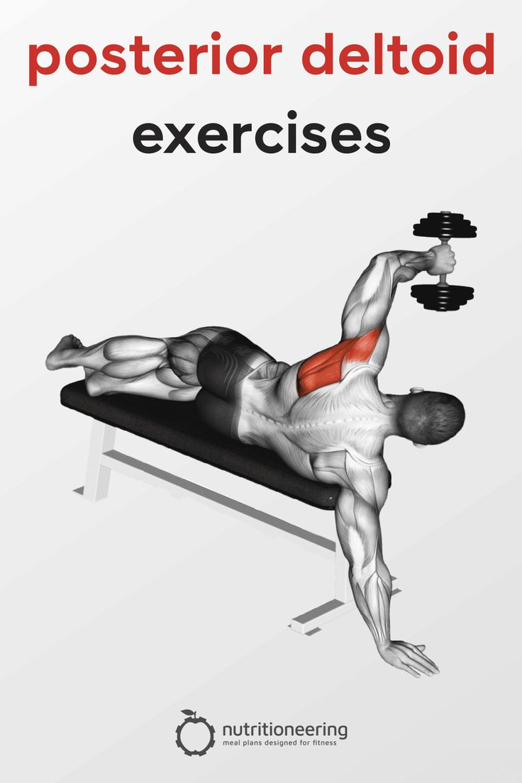 a man laying on top of a bench with the words posterior deltoid exercises