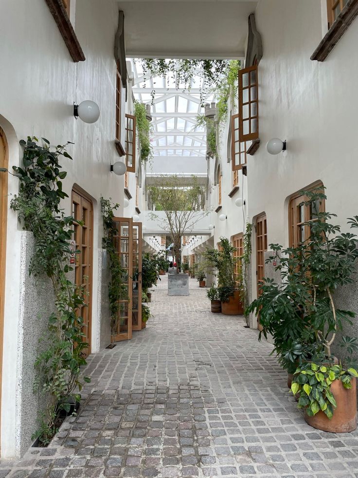 an alley way with potted plants on either side and open windows above the walkway