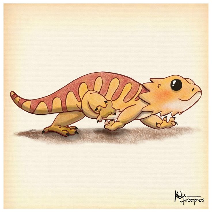 Digital Download - Beardie Run Bearded Dragon Drawing, Bearded Dragon Funny, Bearded Dragon Cute, Cute Reptiles, Animal Doodles, Cute Dragons, Dragon Drawing, Bearded Dragon, Cute Little Drawings