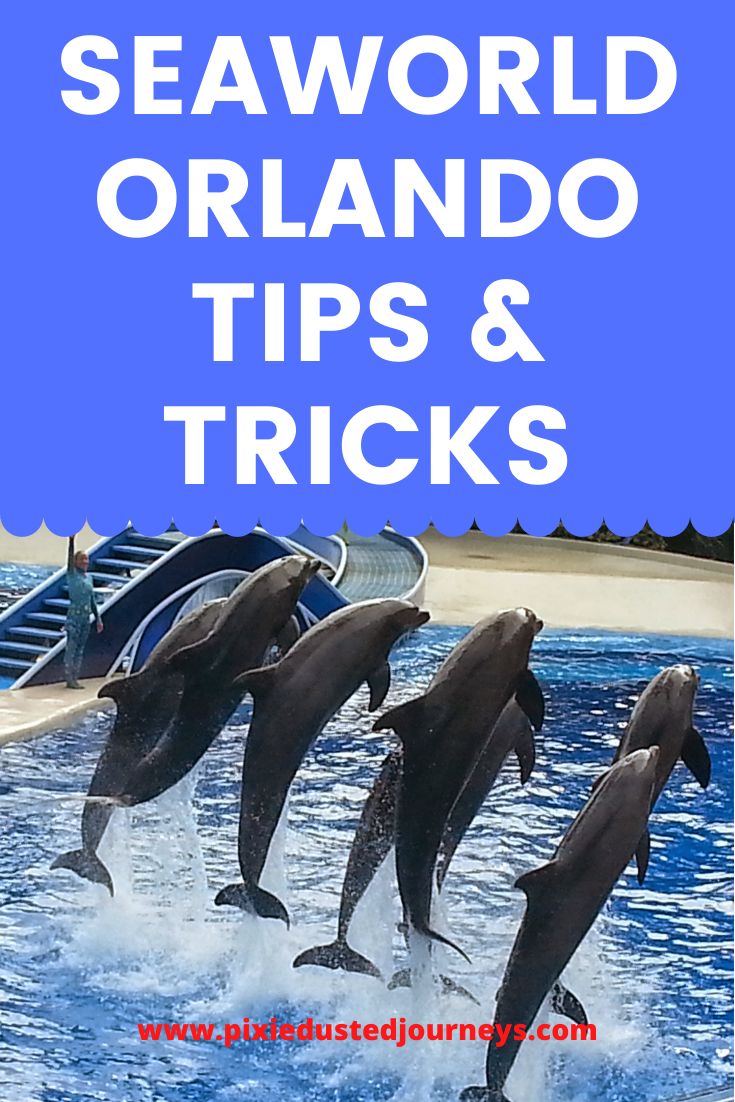 four dolphins jumping out of the water with text reading seaworld orlando tips and tricks