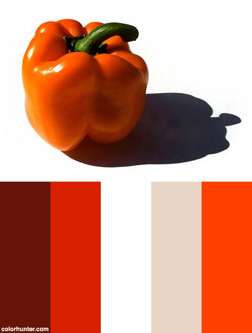 an orange bell pepper on a white background with color swatches in the bottom half