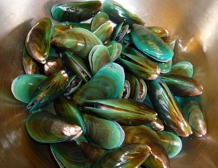 there are many mussels in the bowl together